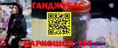 индика Гай