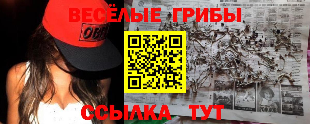Псилоцибиновые грибы Magic Shrooms Нефтекумск